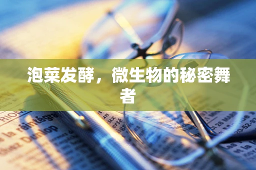 泡菜发酵，微生物的秘密舞者