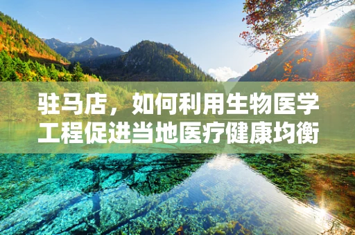驻马店，如何利用生物医学工程促进当地医疗健康均衡发展？
