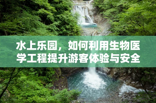 水上乐园，如何利用生物医学工程提升游客体验与安全？