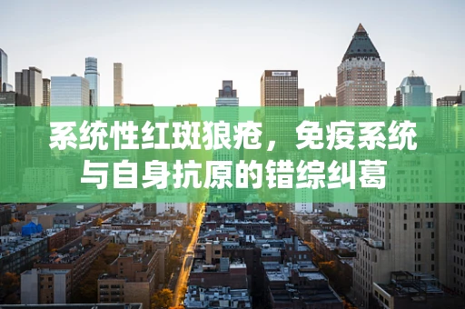 系统性红斑狼疮，免疫系统与自身抗原的错综纠葛