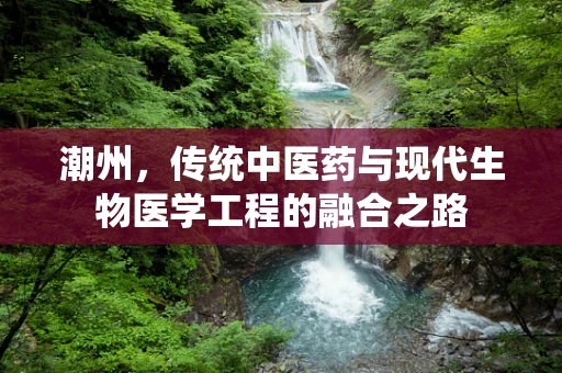 潮州，传统中医药与现代生物医学工程的融合之路