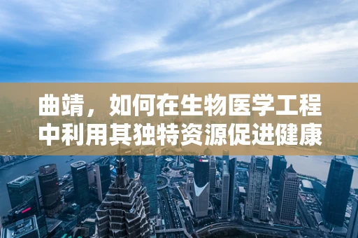 曲靖，如何在生物医学工程中利用其独特资源促进健康医疗创新？
