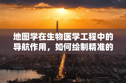 地图学在生物医学工程中的导航作用，如何绘制精准的‘生命地图’？