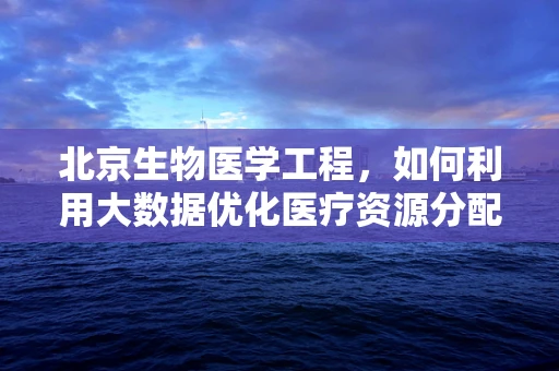 北京生物医学工程，如何利用大数据优化医疗资源分配？