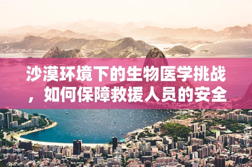 沙漠环境下的生物医学挑战，如何保障救援人员的安全与效率？