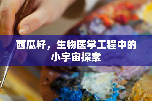 西瓜籽，生物医学工程中的小宇宙探索