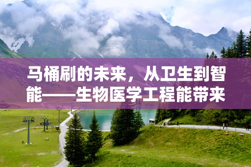 马桶刷的未来，从卫生到智能——生物医学工程能带来什么变革？