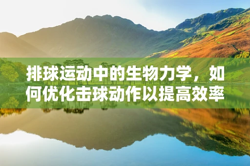 排球运动中的生物力学，如何优化击球动作以提高效率？