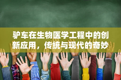 驴车在生物医学工程中的创新应用，传统与现代的奇妙融合？