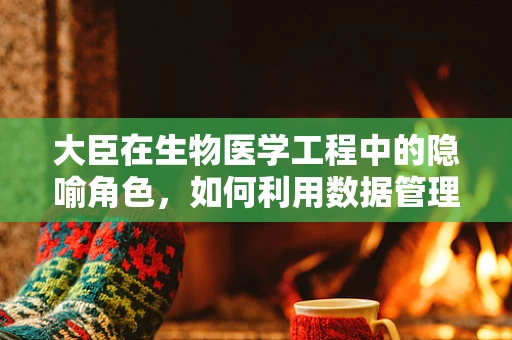 大臣在生物医学工程中的隐喻角色，如何利用数据管理优化医疗资源分配？