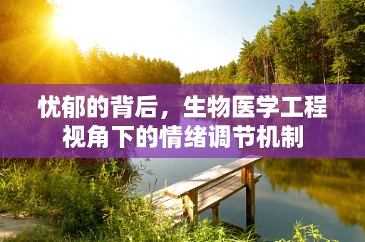 忧郁的背后，生物医学工程视角下的情绪调节机制