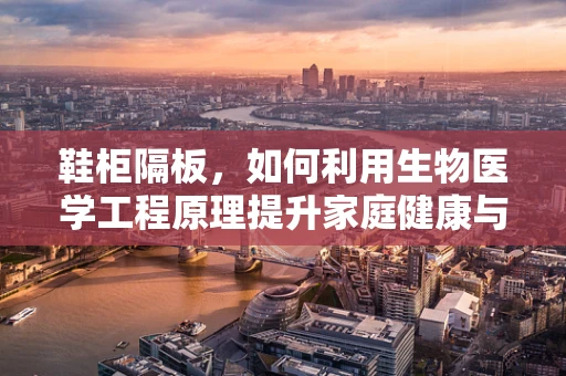 鞋柜隔板，如何利用生物医学工程原理提升家庭健康与卫生？