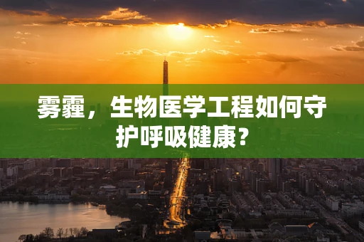 雾霾，生物医学工程如何守护呼吸健康？