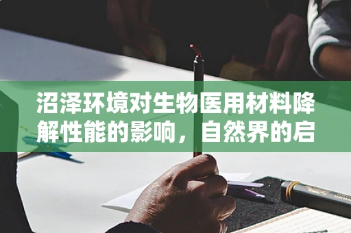 沼泽环境对生物医用材料降解性能的影响，自然界的启示？