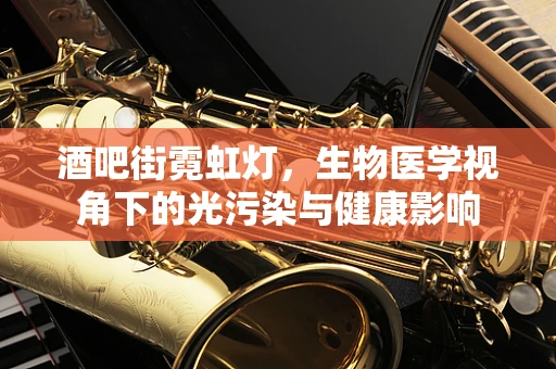 酒吧街霓虹灯，生物医学视角下的光污染与健康影响