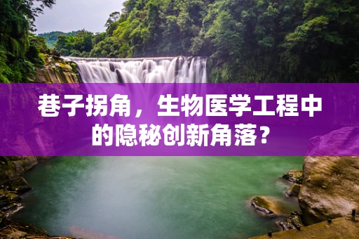 巷子拐角，生物医学工程中的隐秘创新角落？