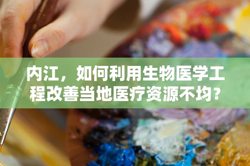内江，如何利用生物医学工程改善当地医疗资源不均？