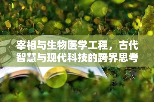 宰相与生物医学工程，古代智慧与现代科技的跨界思考