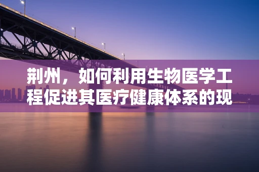 荆州，如何利用生物医学工程促进其医疗健康体系的现代化？