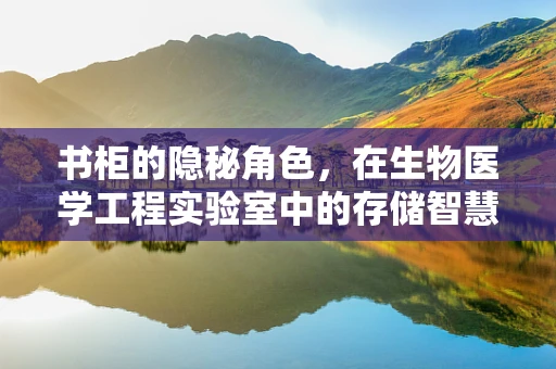 书柜的隐秘角色，在生物医学工程实验室中的存储智慧