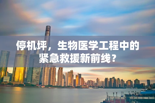停机坪，生物医学工程中的紧急救援新前线？