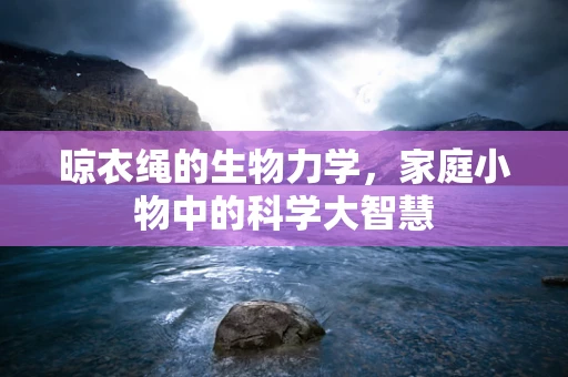 晾衣绳的生物力学，家庭小物中的科学大智慧