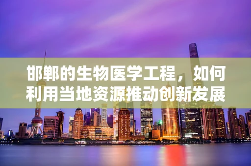 邯郸的生物医学工程，如何利用当地资源推动创新发展？