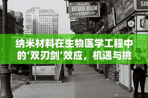 纳米材料在生物医学工程中的‘双刃剑’效应，机遇与挑战并存？