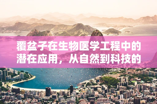 覆盆子在生物医学工程中的潜在应用，从自然到科技的跨越