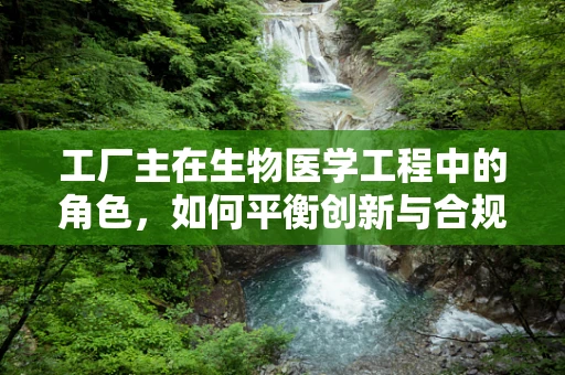 工厂主在生物医学工程中的角色，如何平衡创新与合规？