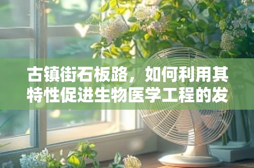 古镇街石板路，如何利用其特性促进生物医学工程的发展？