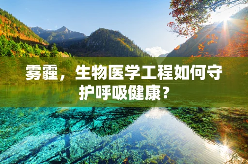 雾霾，生物医学工程如何守护呼吸健康？