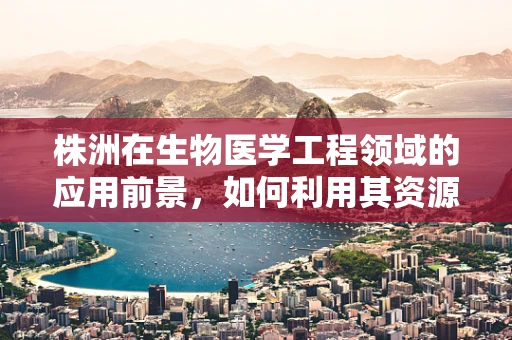 株洲在生物医学工程领域的应用前景，如何利用其资源优势推动创新发展？