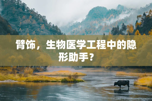 臂饰，生物医学工程中的隐形助手？