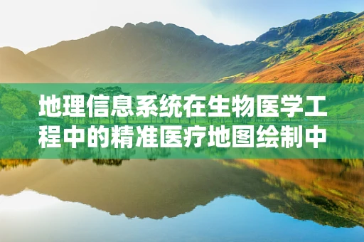 地理信息系统在生物医学工程中的精准医疗地图绘制中扮演什么角色？