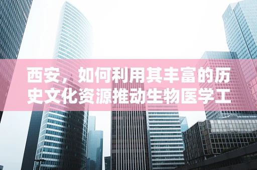 西安，如何利用其丰富的历史文化资源推动生物医学工程创新？