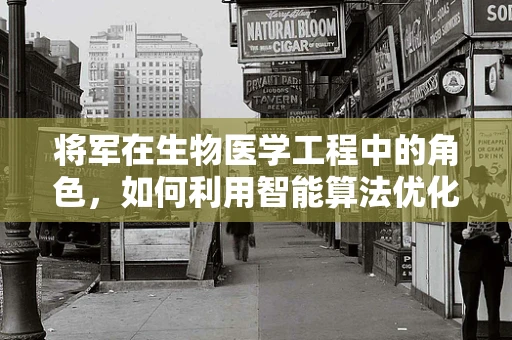 将军在生物医学工程中的角色，如何利用智能算法优化医疗资源分配？