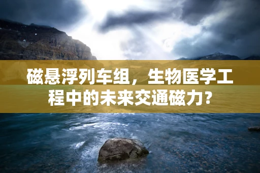 磁悬浮列车组，生物医学工程中的未来交通磁力？