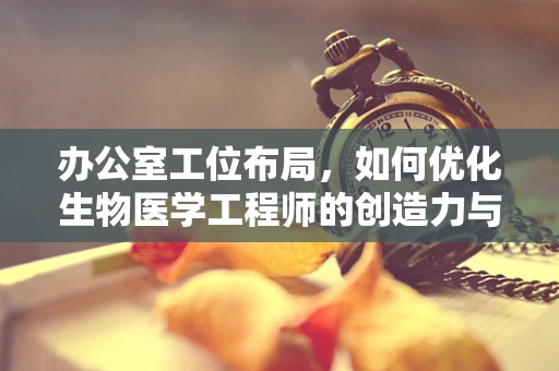 办公室工位布局，如何优化生物医学工程师的创造力与健康？