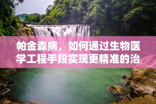 帕金森病，如何通过生物医学工程手段实现更精准的治疗？