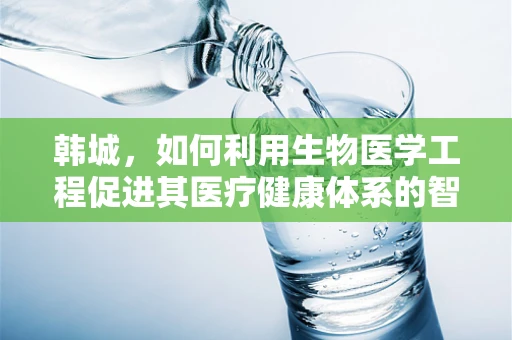 韩城，如何利用生物医学工程促进其医疗健康体系的智慧转型？