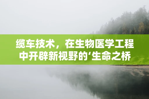 缆车技术，在生物医学工程中开辟新视野的‘生命之桥’？