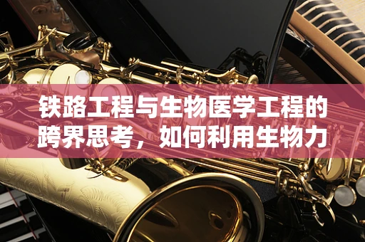 铁路工程与生物医学工程的跨界思考，如何利用生物力学原理优化铁路乘客舒适度？