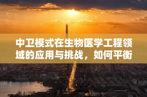 中卫模式在生物医学工程领域的应用与挑战，如何平衡医疗资源与患者隐私？