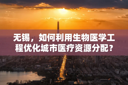 无锡，如何利用生物医学工程优化城市医疗资源分配？