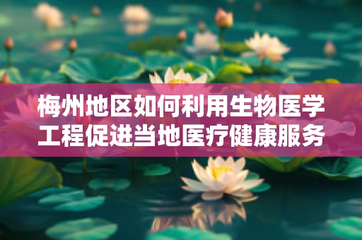 梅州地区如何利用生物医学工程促进当地医疗健康服务的创新发展？