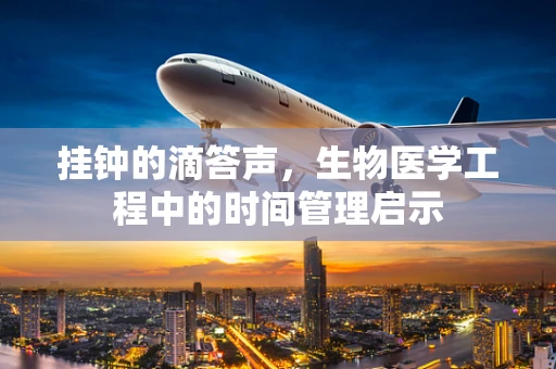挂钟的滴答声，生物医学工程中的时间管理启示