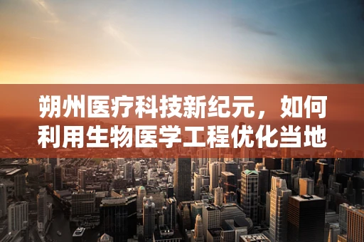 朔州医疗科技新纪元，如何利用生物医学工程优化当地医疗资源分配？
