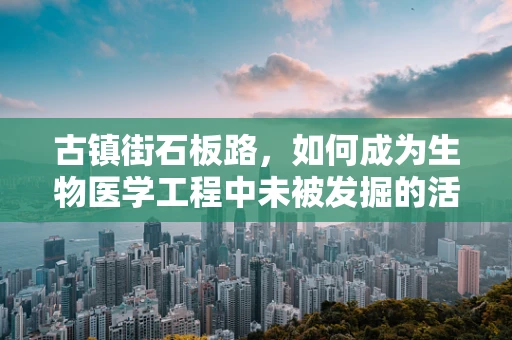 古镇街石板路，如何成为生物医学工程中未被发掘的活体实验室？