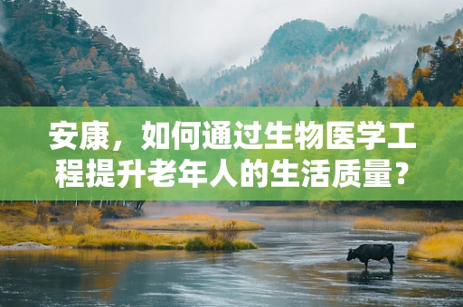 安康，如何通过生物医学工程提升老年人的生活质量？
